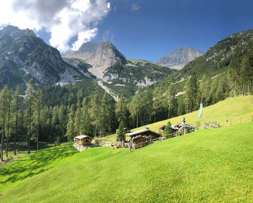 Sommer auf der Alm