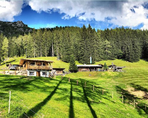 sommerliche Tage auf der Lärchbodenalm