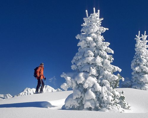 skitouring in Ramsau