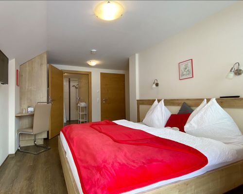 double room in the apartment