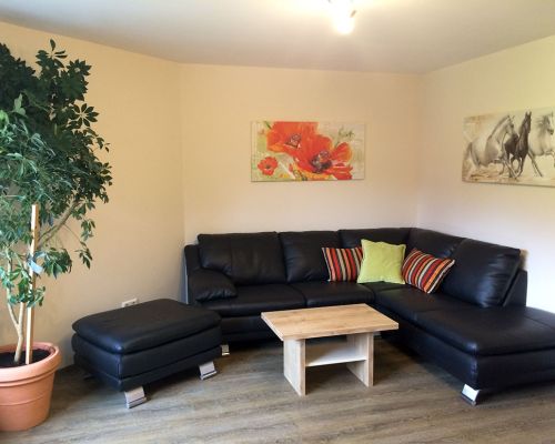 cozy couch