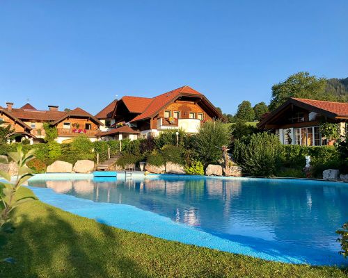 Swimming pool and the yard