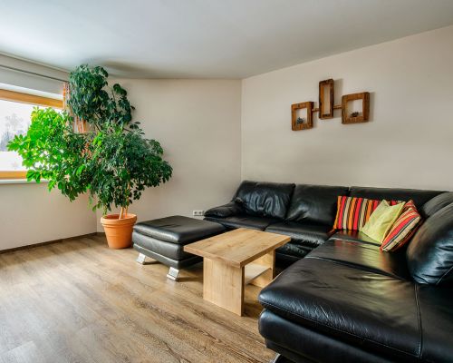 cozy couch in the apartment
