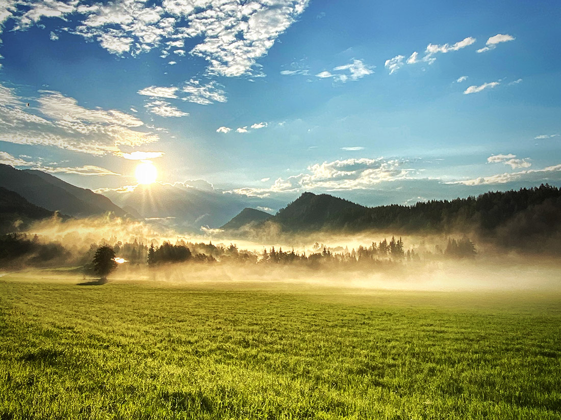 Morgennebel auf den Wiesen rund um den Bio-Bauernhof Simonbauer mit Apartments, Ferienhaus, Penthaus und Zimmer in Ramsau am Dachstein